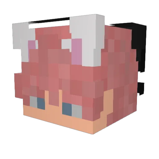 Florekbt Minecraft avatar head, 3D render