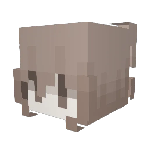 Florence1716 Minecraft avatar head, 3D render