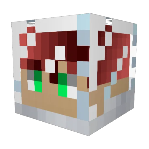 Florent3605 Minecraft avatar head, 3D render
