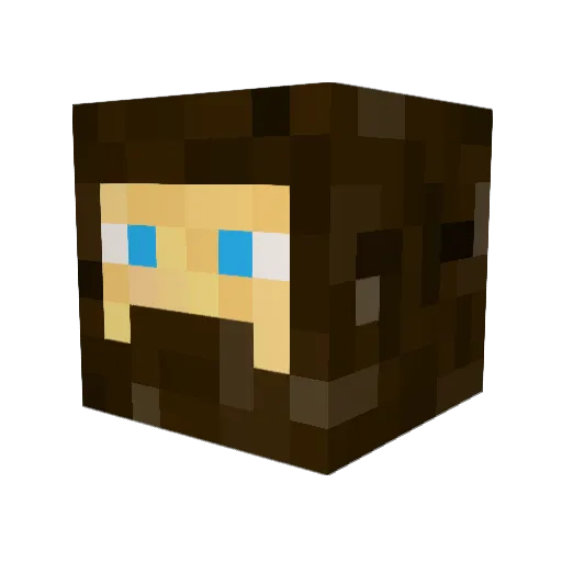 Flori37 Minecraft avatar head, 3D render