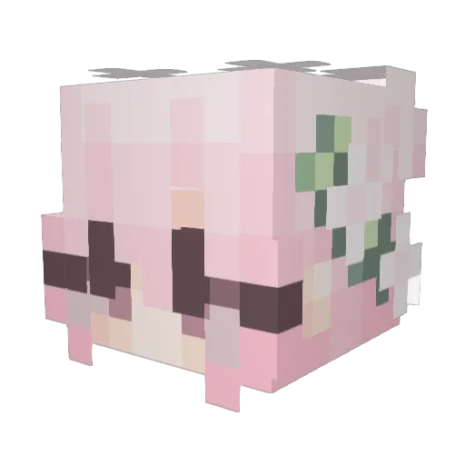 Floria0202 Minecraft avatar head, 3D render