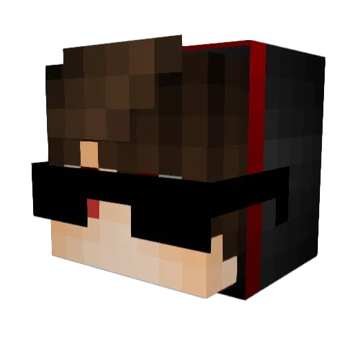Florian0512 Minecraft avatar head, 3D render