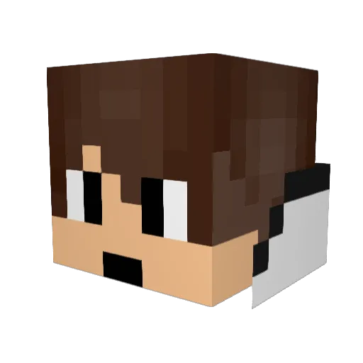 Florian8333 Minecraft avatar head, 3D render