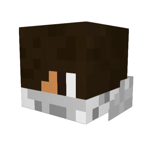 Florian_3001 Minecraft avatar head, 3D render