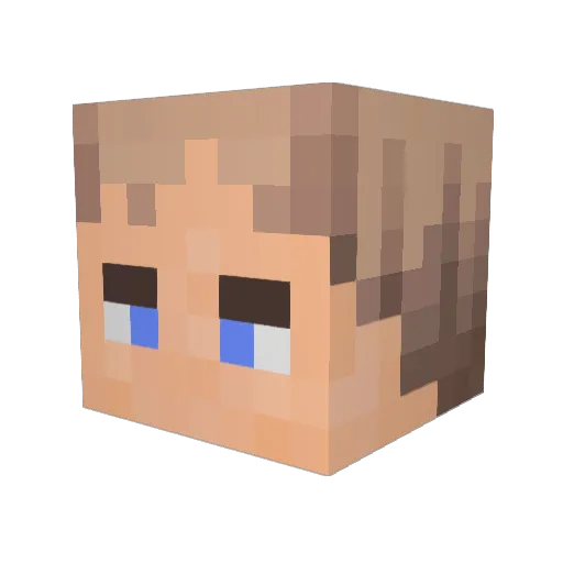 Florian_W100 Minecraft avatar head, 3D render