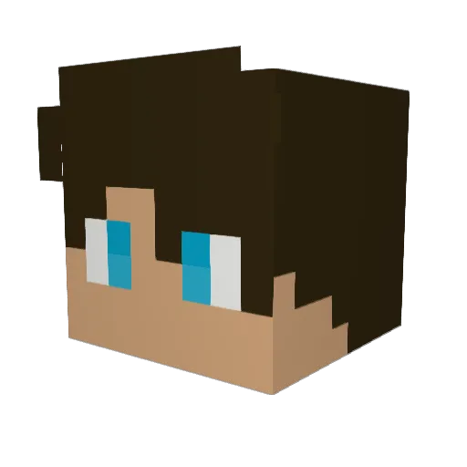 Florian__Mc Minecraft avatar head, 3D render