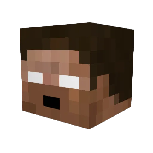 Floriandj Minecraft avatar head, 3D render