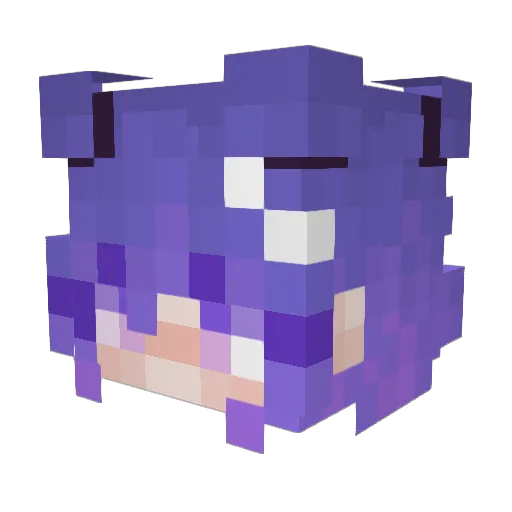 FloridaGirl87 Minecraft avatar head, 3D render