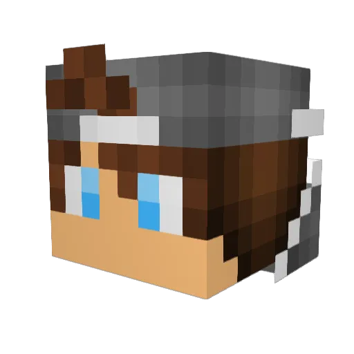 FloridaJoints Minecraft avatar head, 3D render