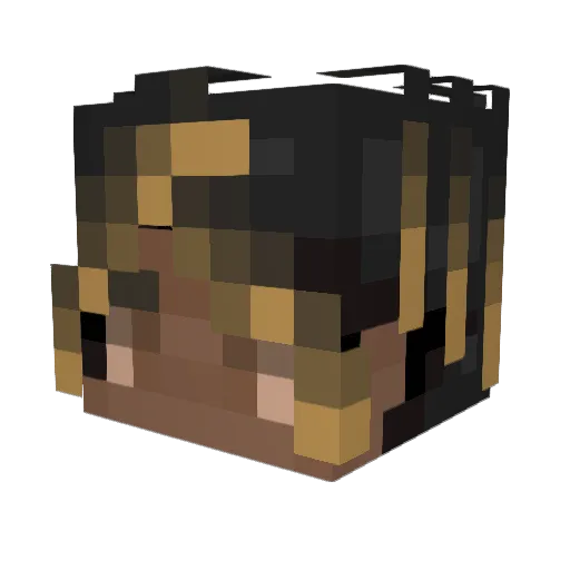 Florida_Jiht Minecraft avatar head, 3D render