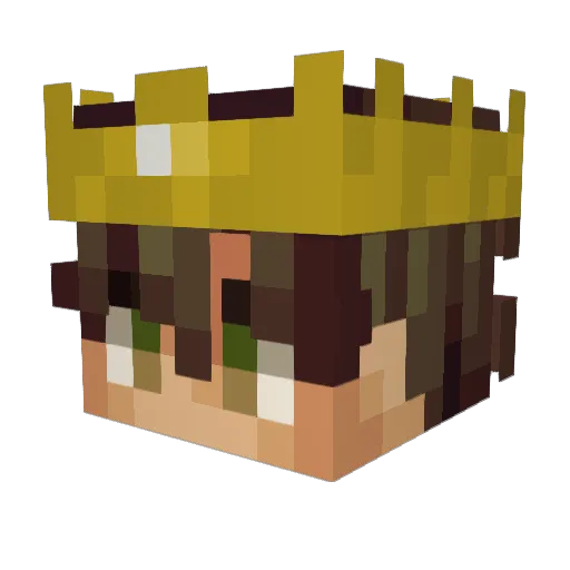 Florida_Man124 Minecraft avatar head, 3D render
