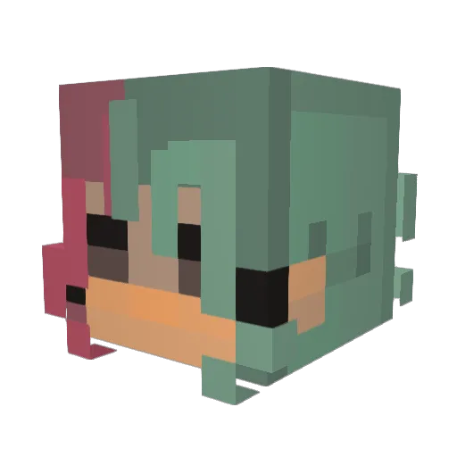 Florida_Vibes Minecraft avatar head, 3D render