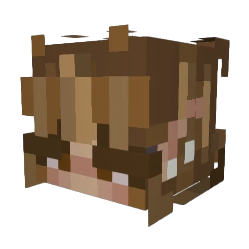 FlorinCo Minecraft avatar head, 3D render