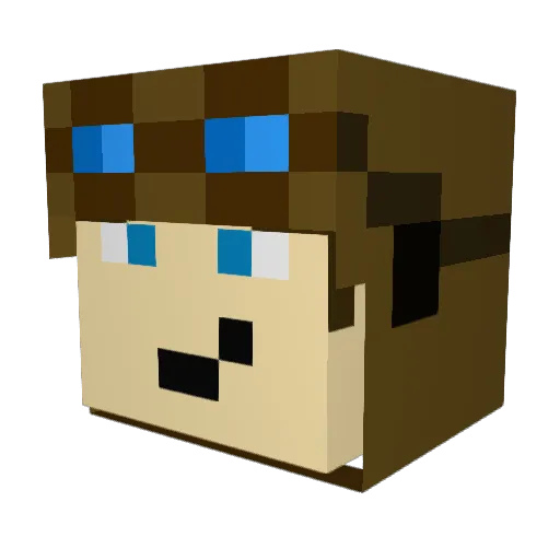 Florint10 Minecraft avatar head, 3D render
