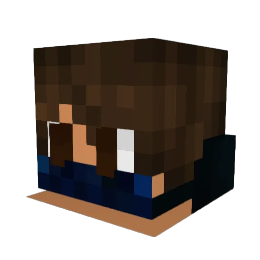 Floris564 Minecraft avatar head, 3D render