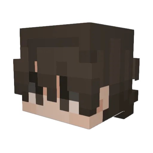 FlorisNL Minecraft avatar head, 3D render