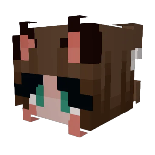 Florisita Minecraft avatar head, 3D render