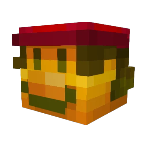 Florismuis Minecraft avatar head, 3D render