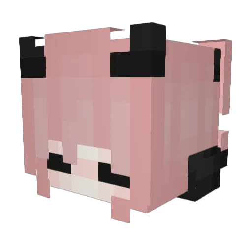 Florispop Minecraft avatar head, 3D render