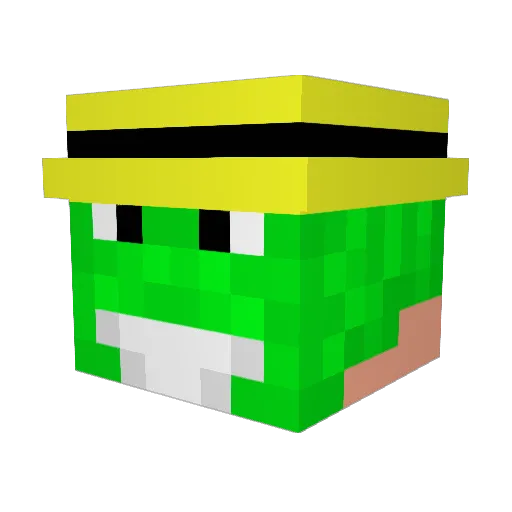 FloristX Minecraft avatar head, 3D render