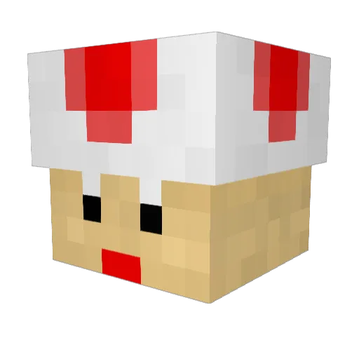 Florix13 Minecraft avatar head, 3D render