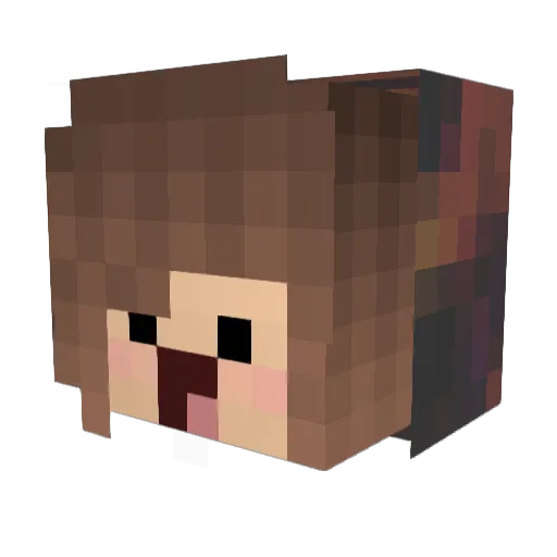 Florixn Minecraft avatar head, 3D render