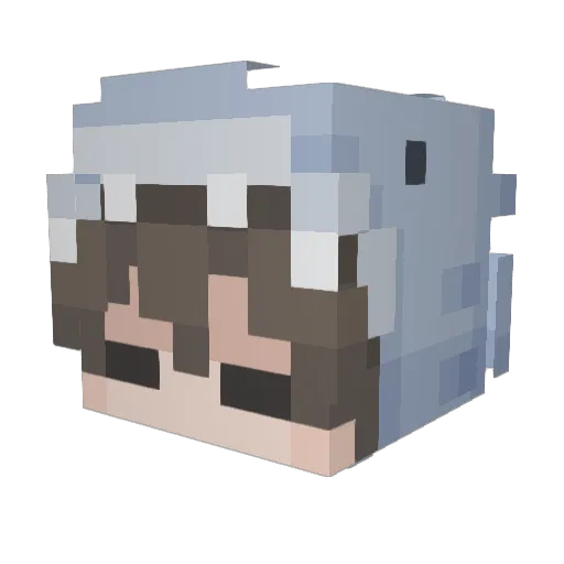 Florydson Minecraft avatar head, 3D render