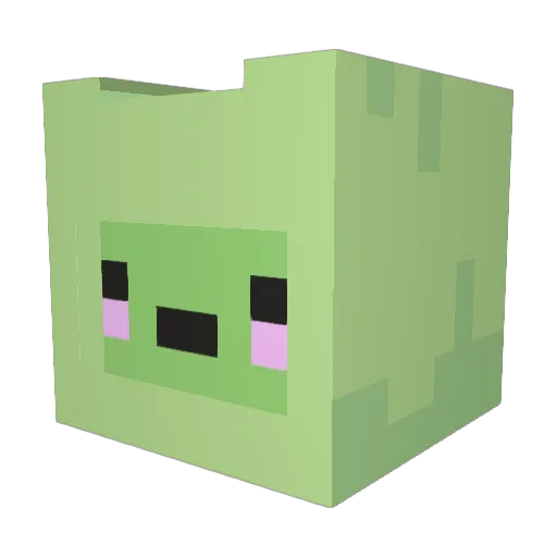 Floshuuu Minecraft avatar head, 3D render