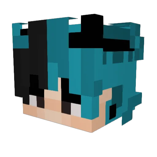 Floshyt Minecraft avatar head, 3D render
