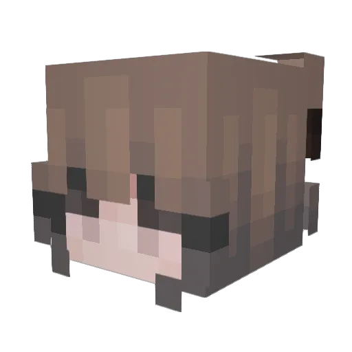 FlossyConlon Minecraft avatar head, 3D render
