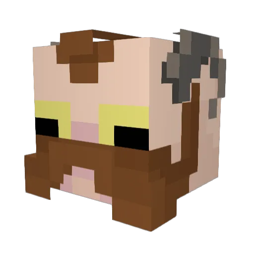 FlossyYEW Minecraft avatar head, 3D render