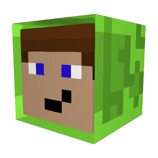 Flostradamus55 Minecraft avatar head, 3D render