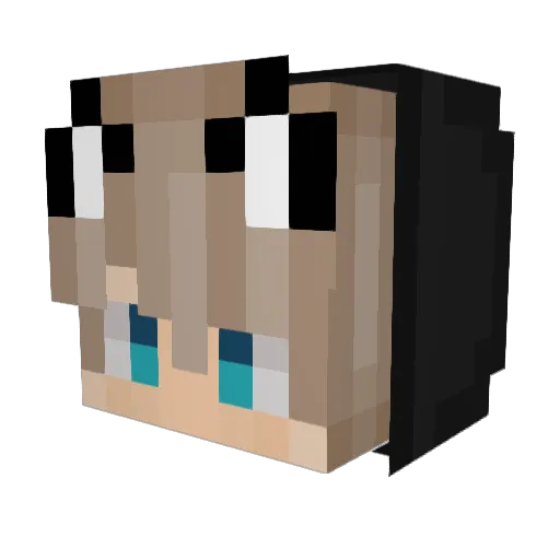 Flot2009 Minecraft avatar head, 3D render