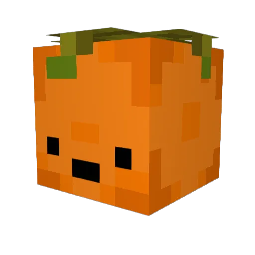 FlotAppelsin Minecraft avatar head, 3D render
