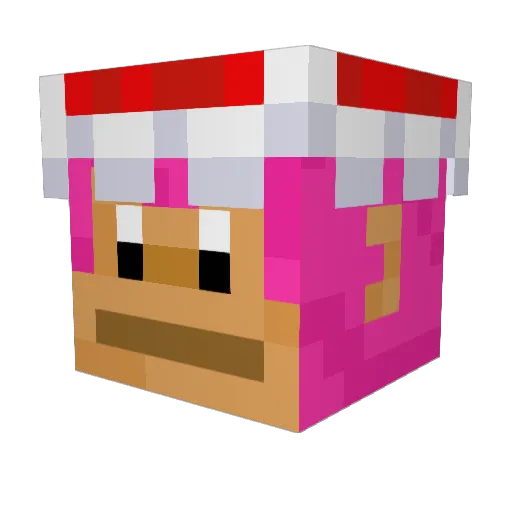 Flother Minecraft avatar head, 3D render
