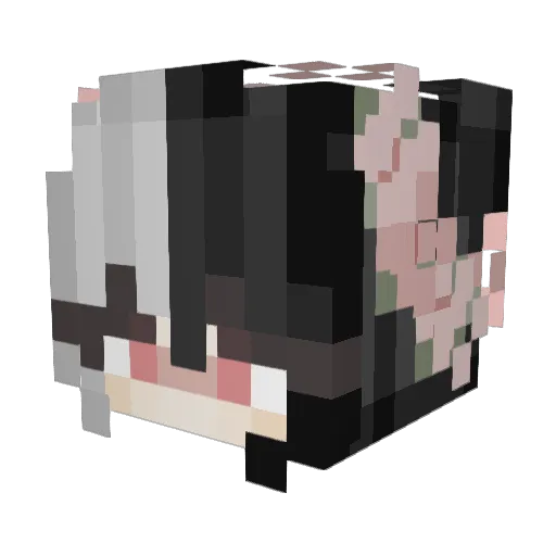 FlottaMaus Minecraft avatar head, 3D render