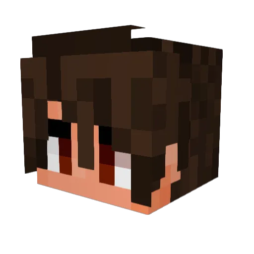 Floujd Minecraft avatar head, 3D render