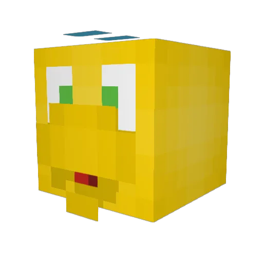 Flounder99 Minecraft avatar head, 3D render