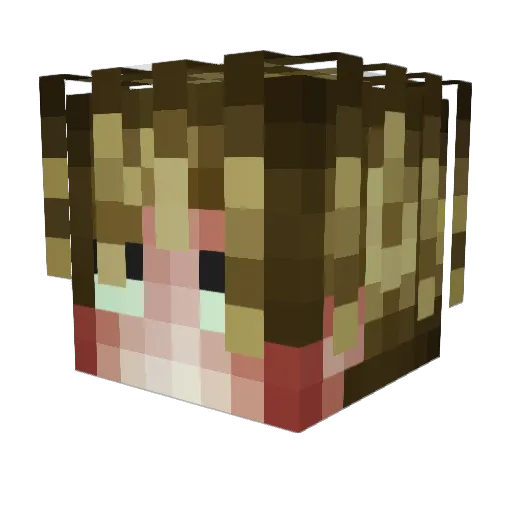 FlounderTeq Minecraft avatar head, 3D render