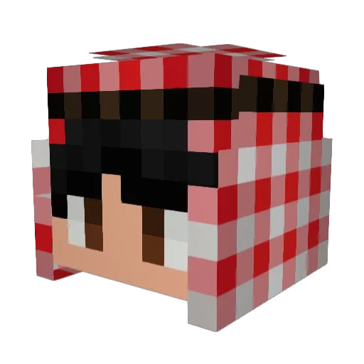 Flov_ Minecraft avatar head, 3D render
