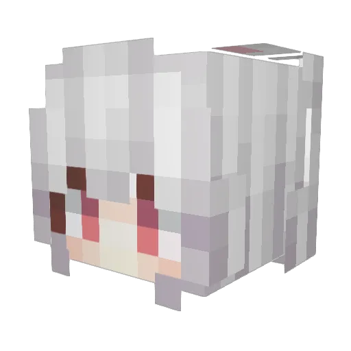 Flow2023 Minecraft avatar head, 3D render