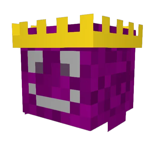 Flow4Show Minecraft avatar head, 3D render