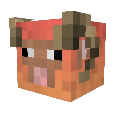 FlowGod69 Minecraft avatar head, 3D render