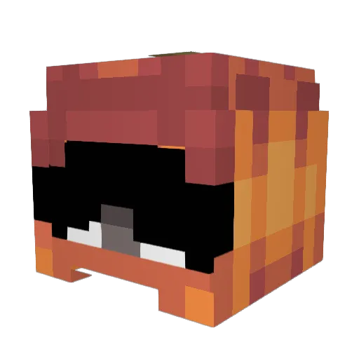 FlowL4ndoritos Minecraft avatar head, 3D render
