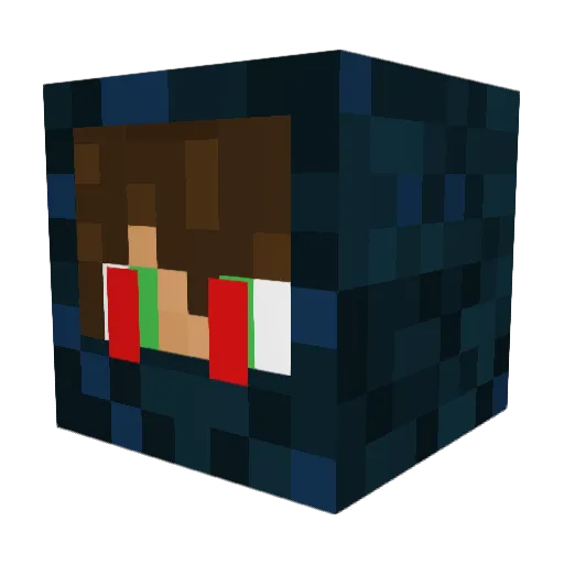 FlowOP_Ollie Minecraft avatar head, 3D render