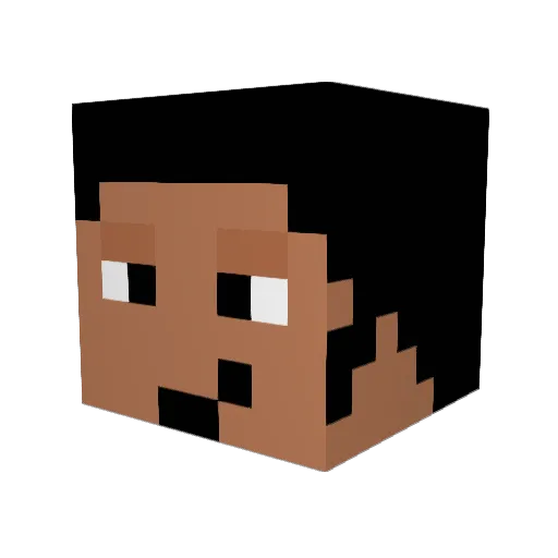 FlowOfTime00 Minecraft avatar head, 3D render