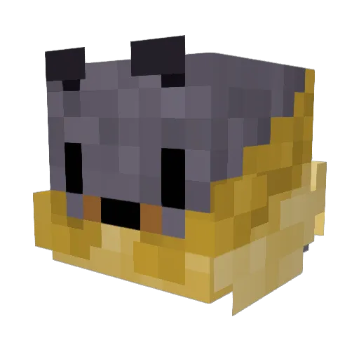 Flow_1287 Minecraft avatar head, 3D render