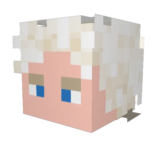 Flowbee_187 Minecraft avatar head, 3D render
