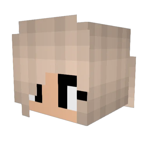 FlowerAngel111 Minecraft avatar head, 3D render