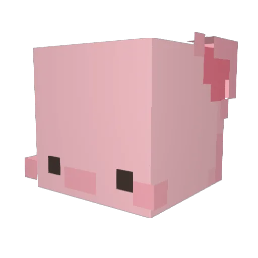 FlowerBoyChris Minecraft avatar head, 3D render
